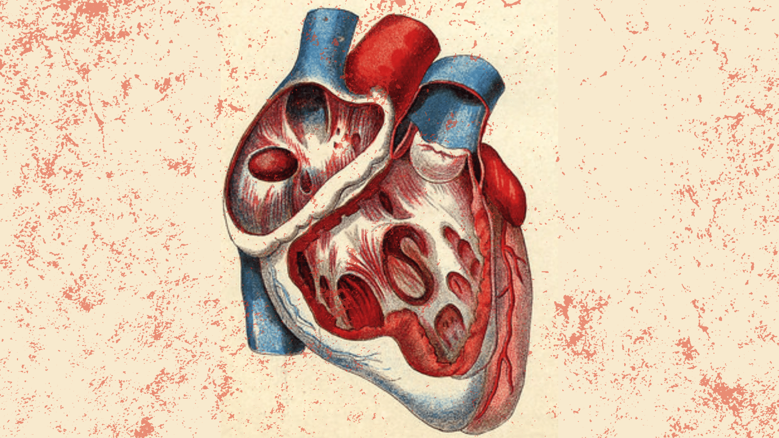 Image for article American Journal of Transplantation: Forced Organ Harvesting in China